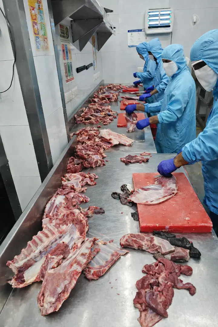 Butchers cutting goat carcasses on a steel line